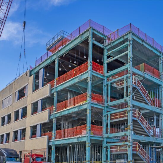 PS87 6 THE DEVELOPMENT